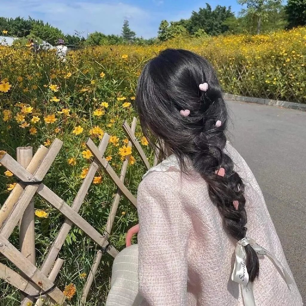 一只小蜘蛛