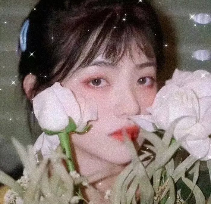 花儿绽放